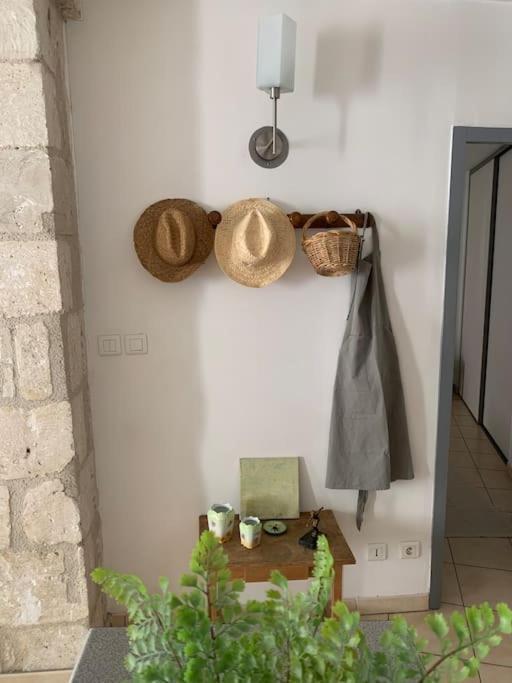 Le Provencal - Hyper Centre - Wifi Apartment Avignon Exterior foto